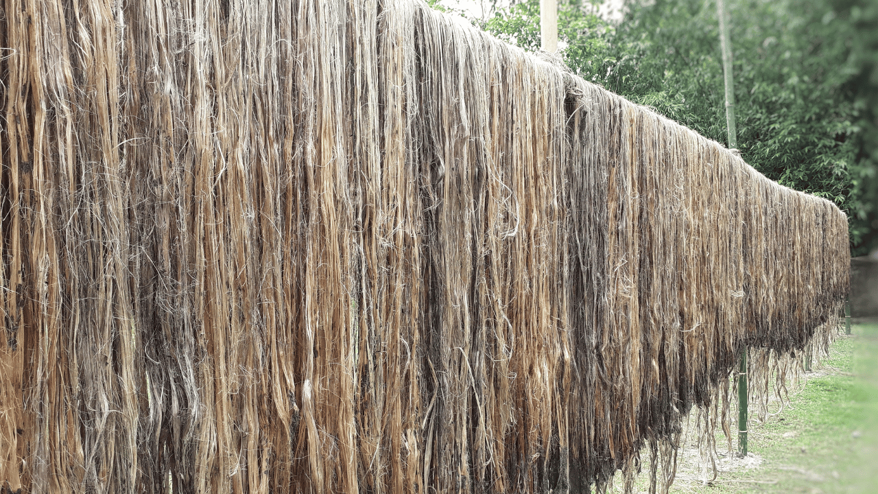 Using Jute In Bag Manufacturing The Ultimate Guide BSK