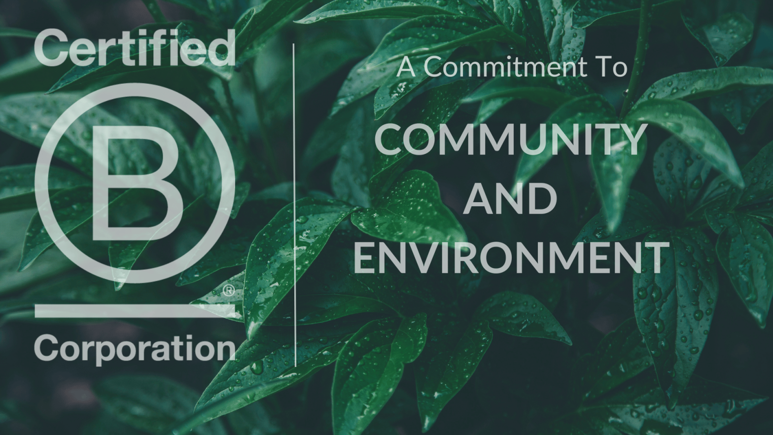 B-Corp Community and Environment