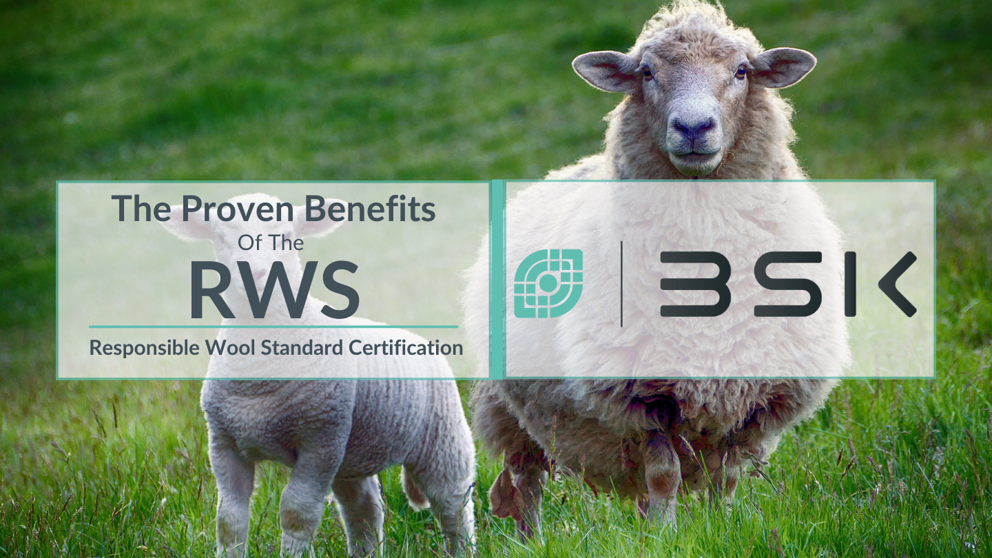 The Proven Benefits Of The RWS Certification