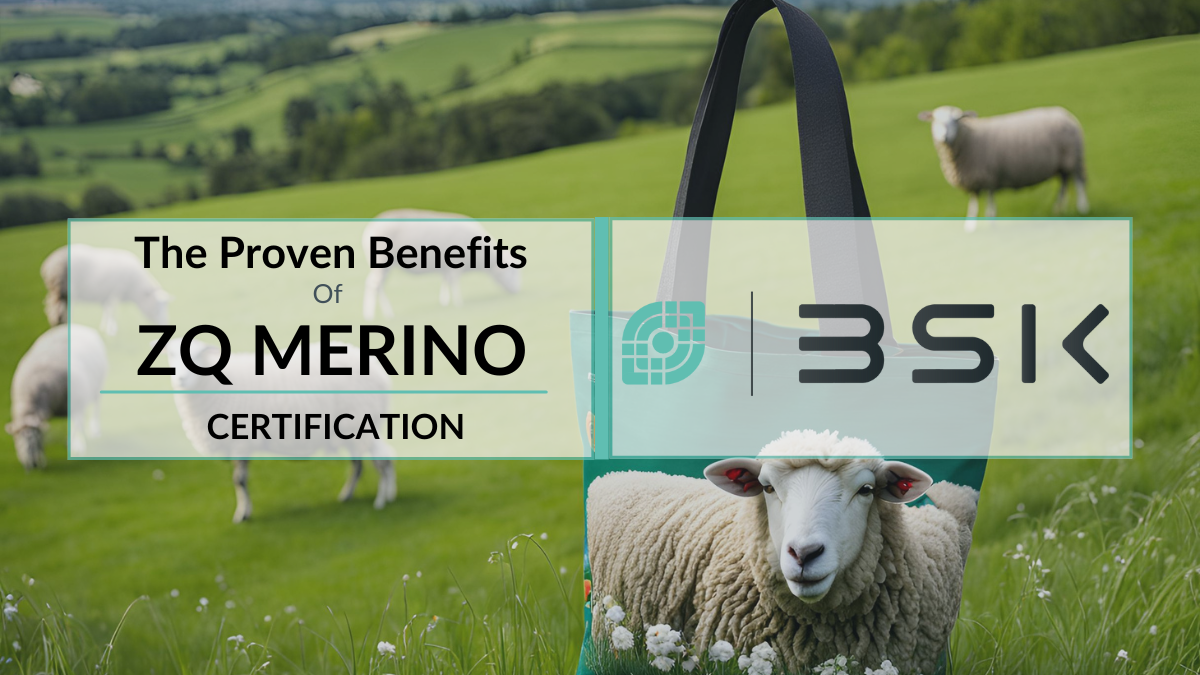 The Proven Benefits of The ZQ Certification - The Ultimate Guide