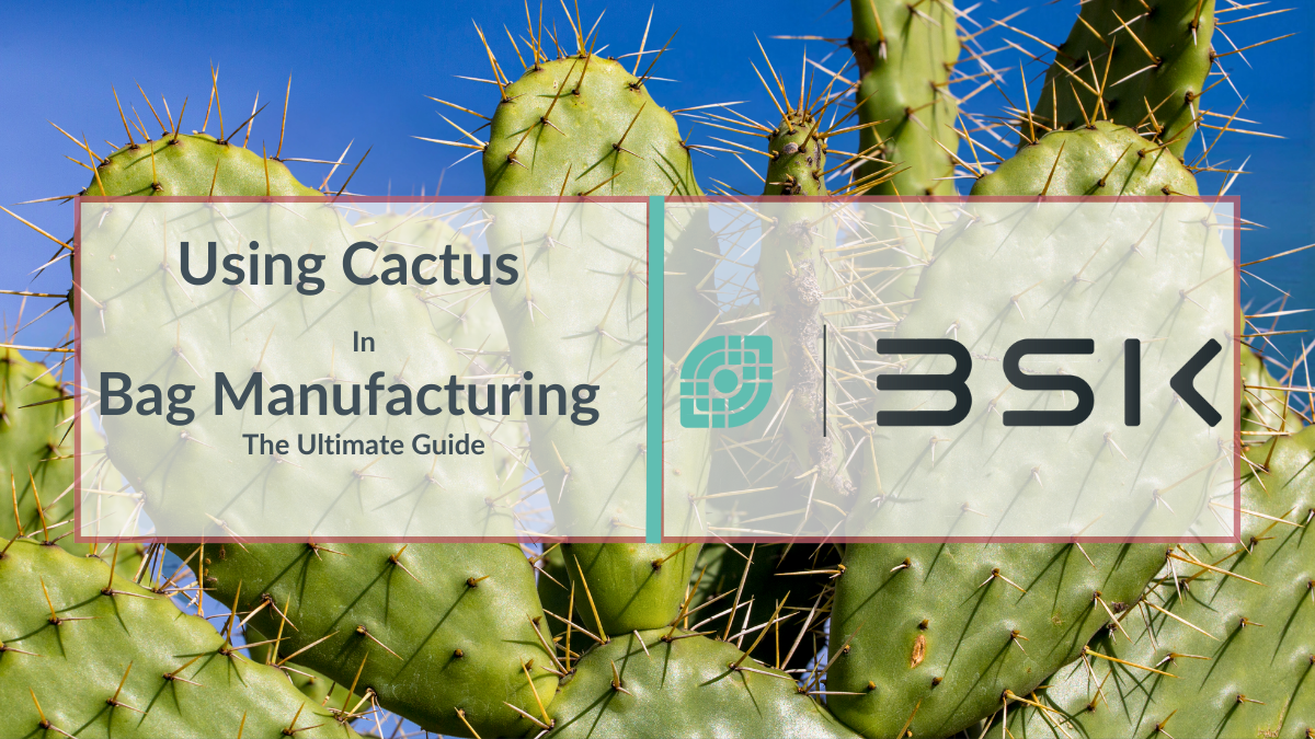 Using Cactus In Bag Manufacturing - The Ultimate Guide