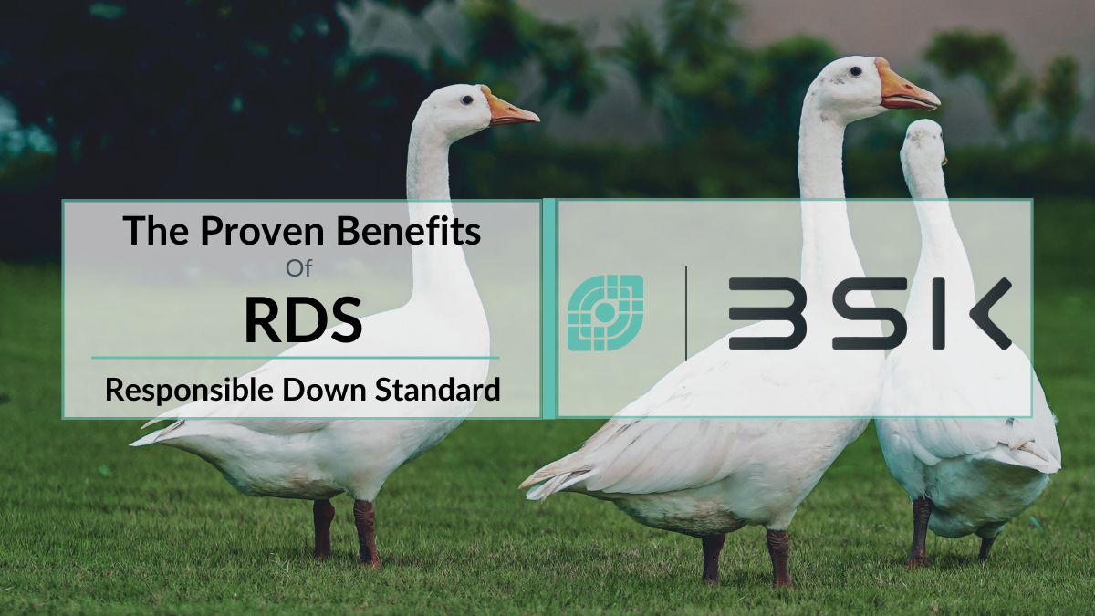 The Proven Benefits of RDS Certification