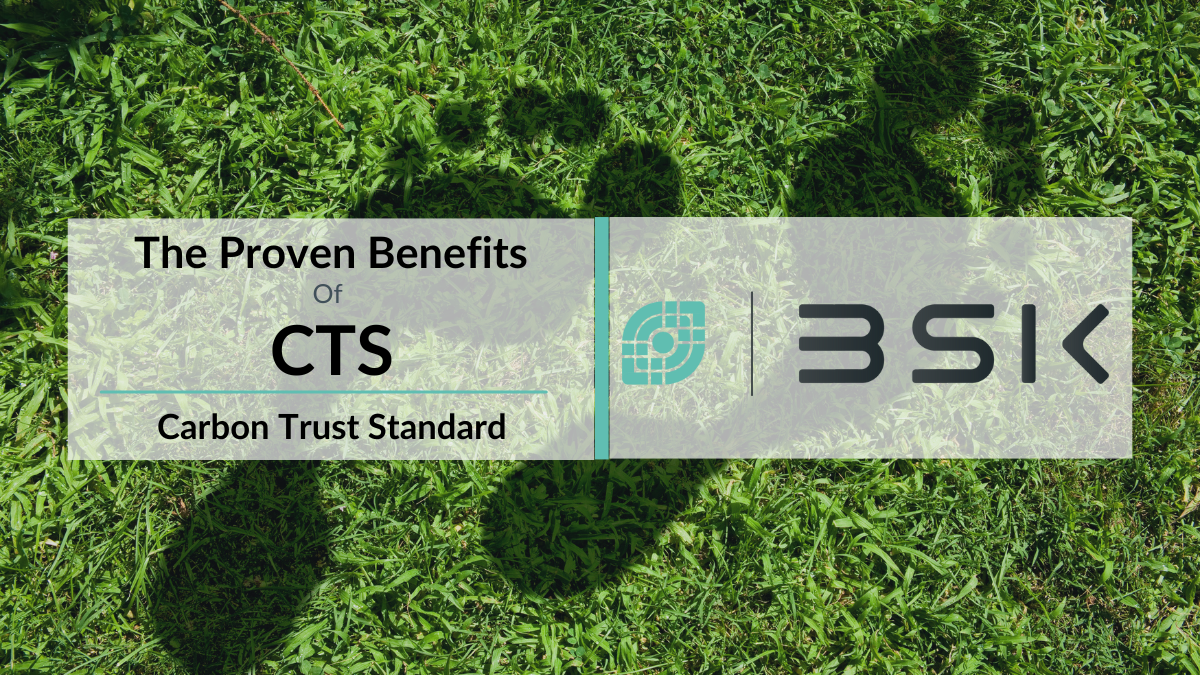 The Proven Benefits of The CTS Certification - The Ultimate Guide